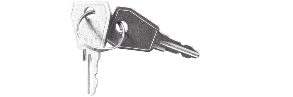 Schlüssel 801 für Brandmelderzentrale VPE µ 2 STK.B8027-0007