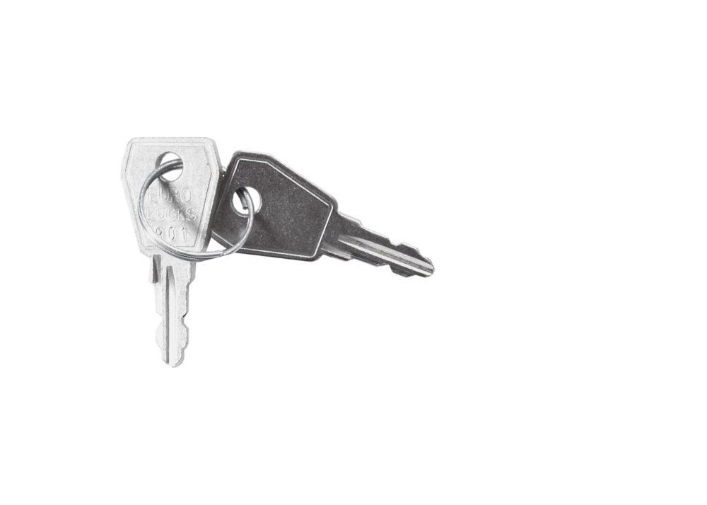 Schlüssel 901 für Brandmelderzentrale VPE µ 2 STK. B8027-0001